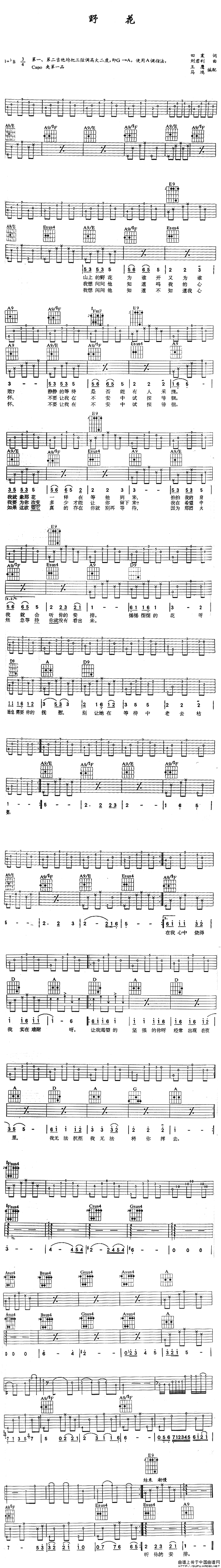 野花（田震词 刘利君曲、王鹰 马鸿编配版）(1)_原文件名：野花1.gif