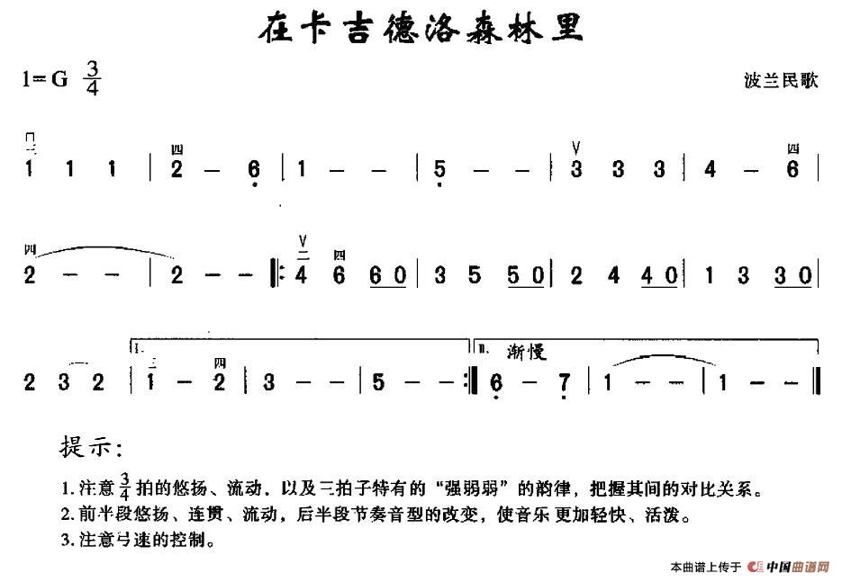 在卡吉德洛森林里 (1)_原文件名：1.jpg